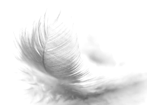 feather feather